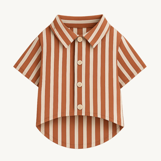 Oxford Striped Shirt (Terracotta Rust)
